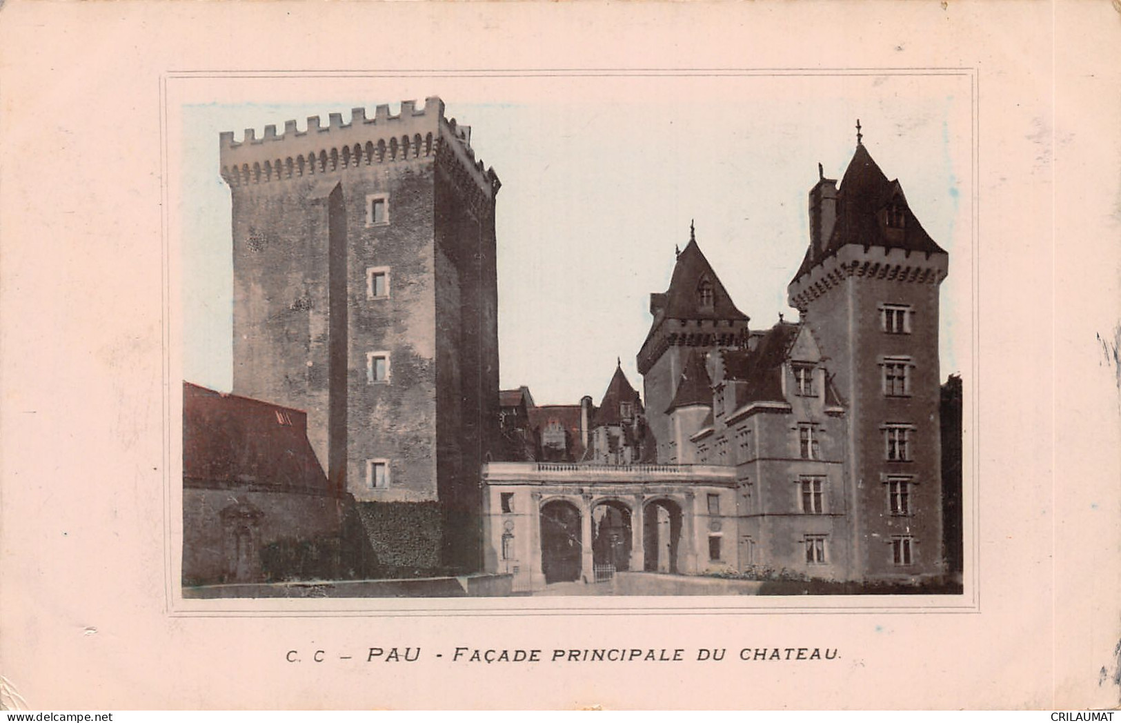 64-PAU-LE CHATEAU-N 6009-A/0081 - Pau