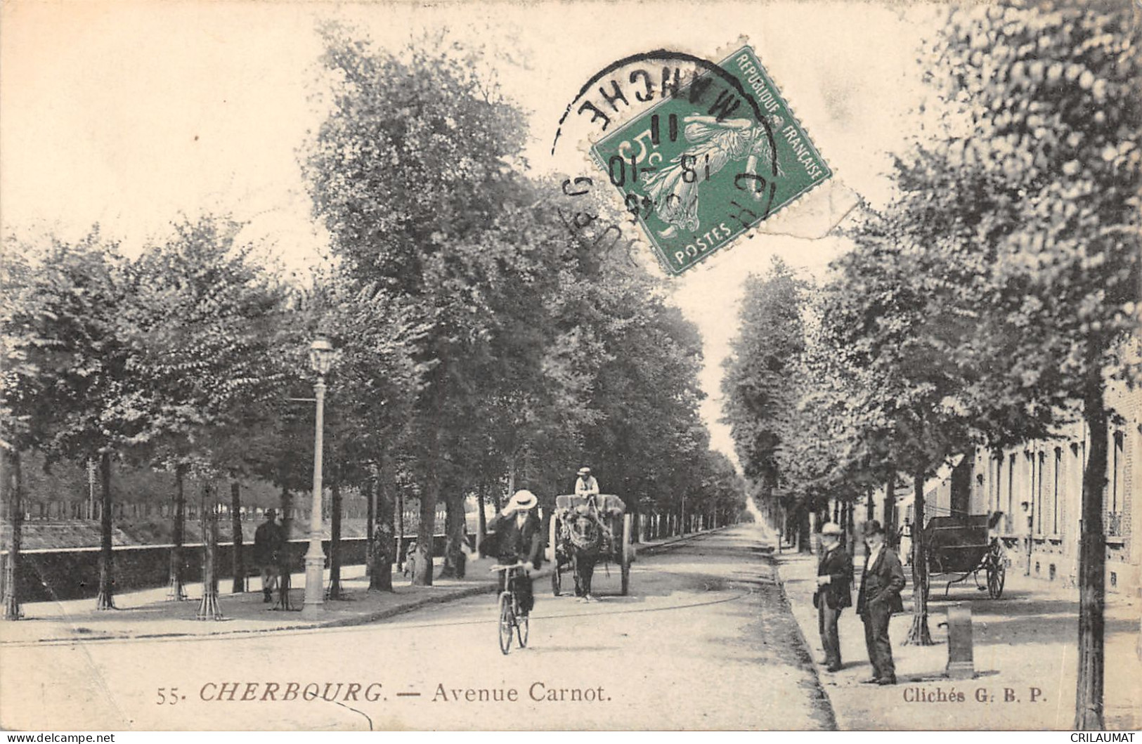 50-CHERBOURG-AVENUE CARNOT-N 6008-H/0275 - Cherbourg