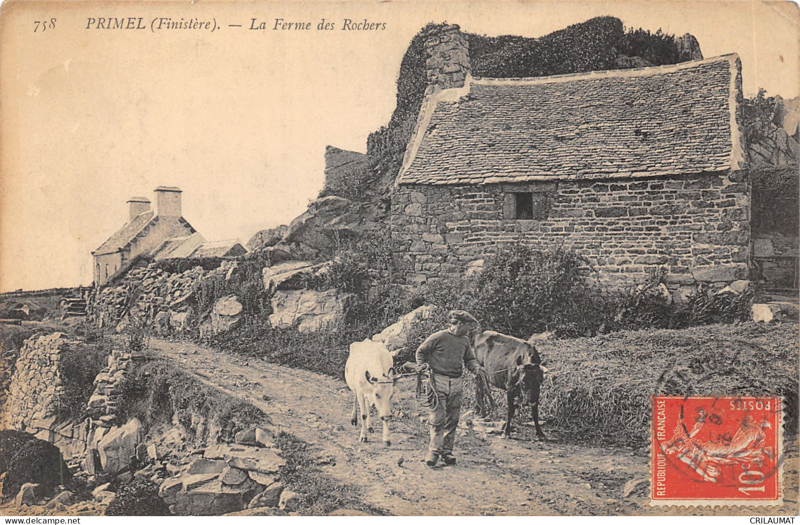 29-PRIMEL-FERME DES ROCHERS-BŒUFS-N 6009-C/0187 - Primel