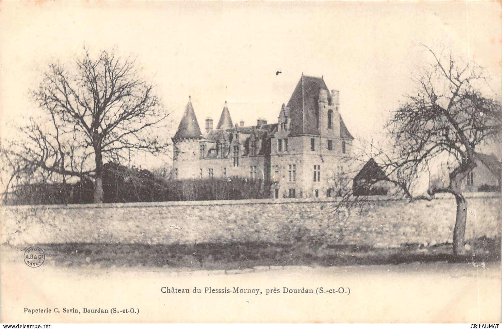 91-DOURDAN-CHATEAU DU PLESSIS MORNAY-N 6009-E/0065 - Dourdan