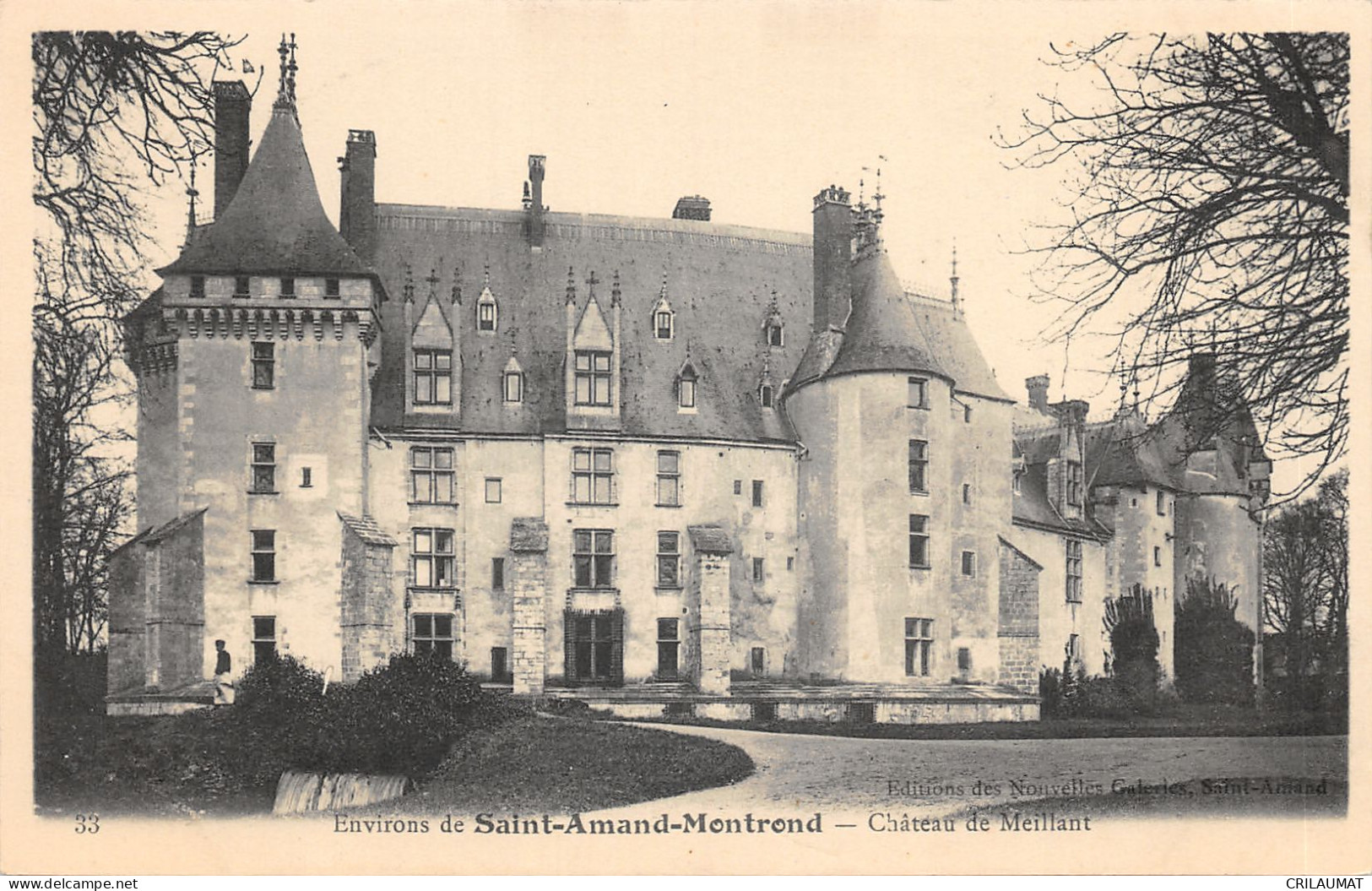 18-SAINT AMAND MONTROND-CHATEUA DE MEILLANT-N 6009-E/0013 - Saint-Amand-Montrond