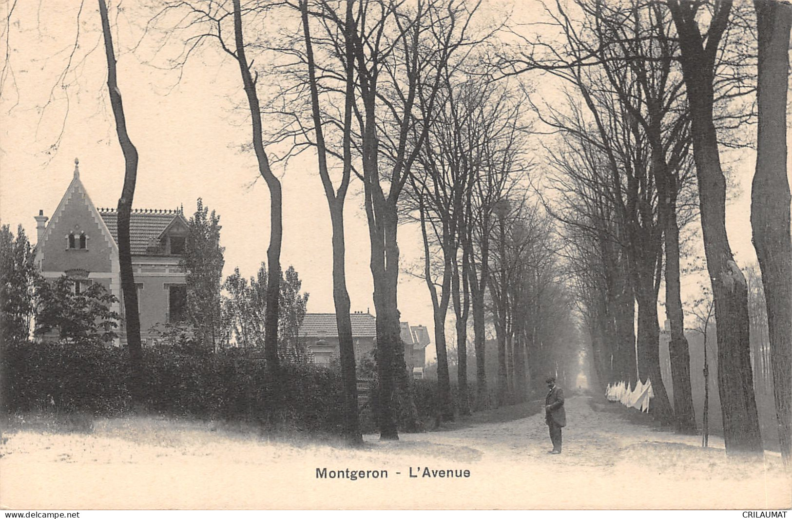 91-MONTGERON-L AVENUE-N 6010-A/0037 - Montgeron