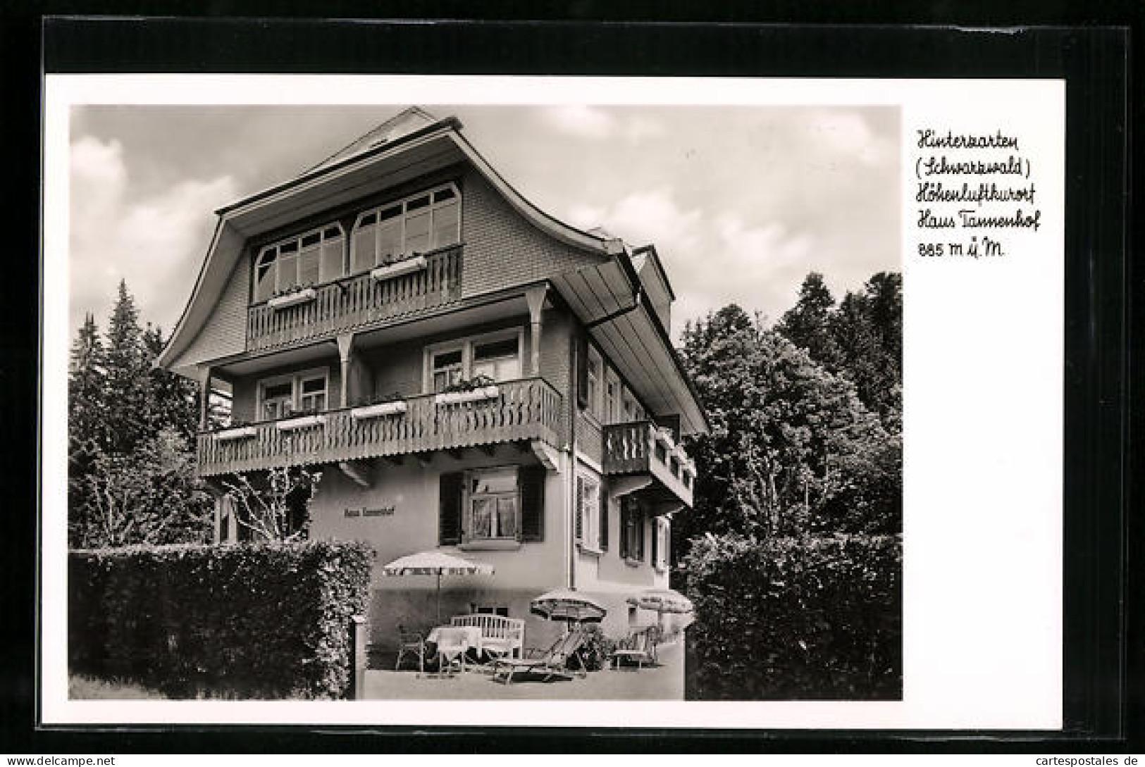 AK Hinterzarten / Schwarzwald, Hotel-Pension Haus Tannenhof  - Hinterzarten