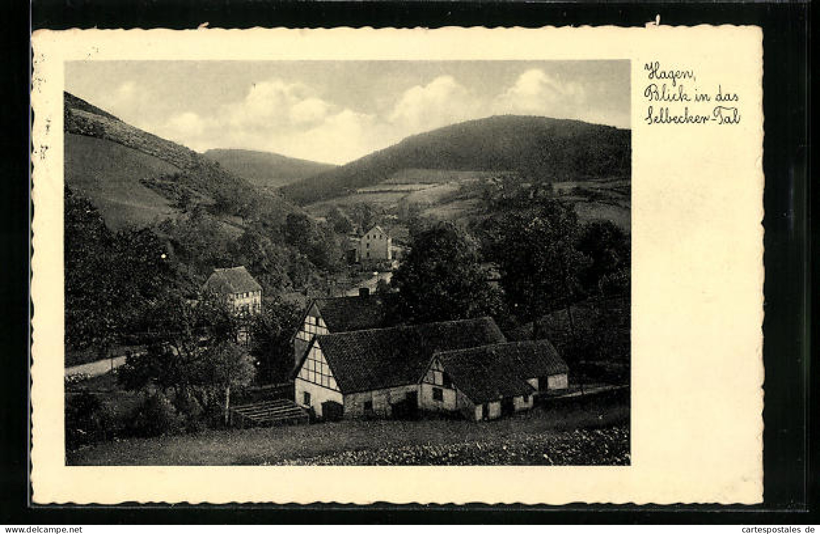 AK Hagen I. W., Blick In Das Selbecker Tal  - Hagen