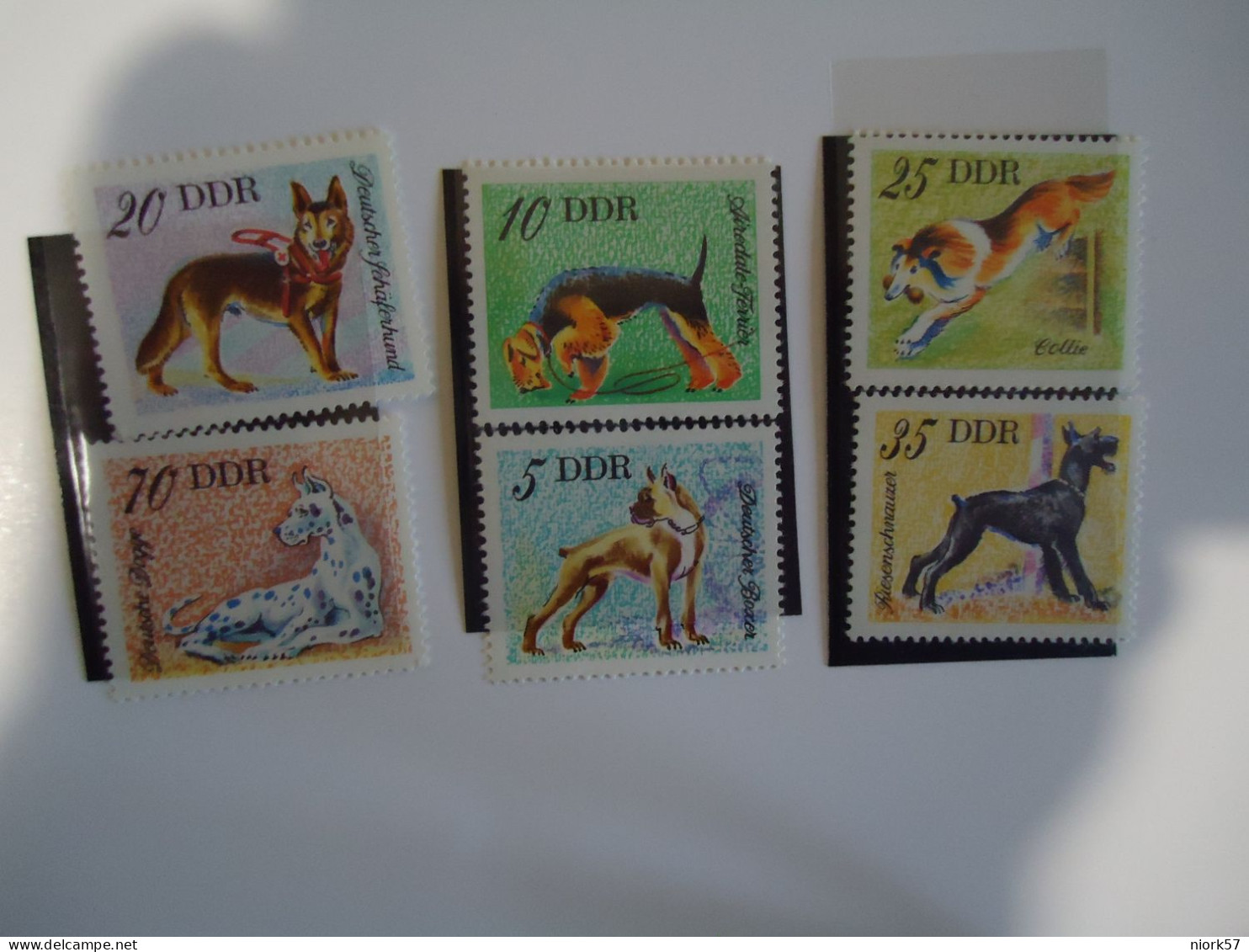 GERMANY   DDR   MNH  STAMPS    ANIMALS DOG DOGS 6 - Chiens