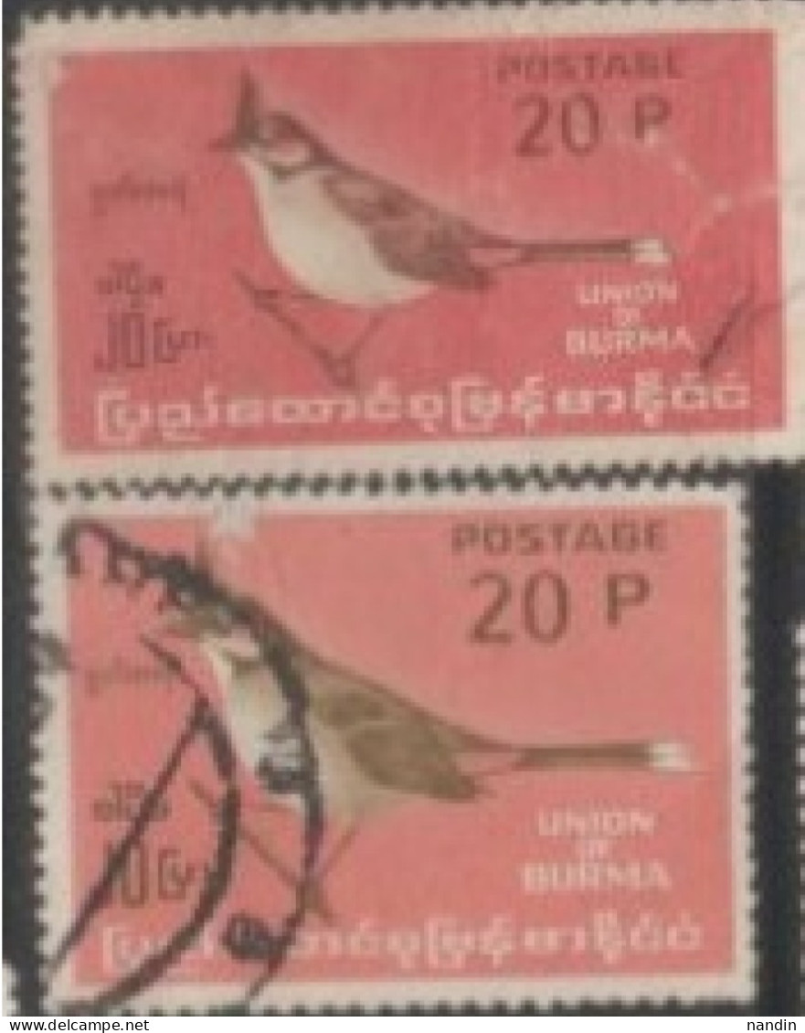 1964-68 BURMA USED STAMP ON BIRD/ Pycnonotus Jocosus-Crested Bulbul - Pájaros Cantores (Passeri)