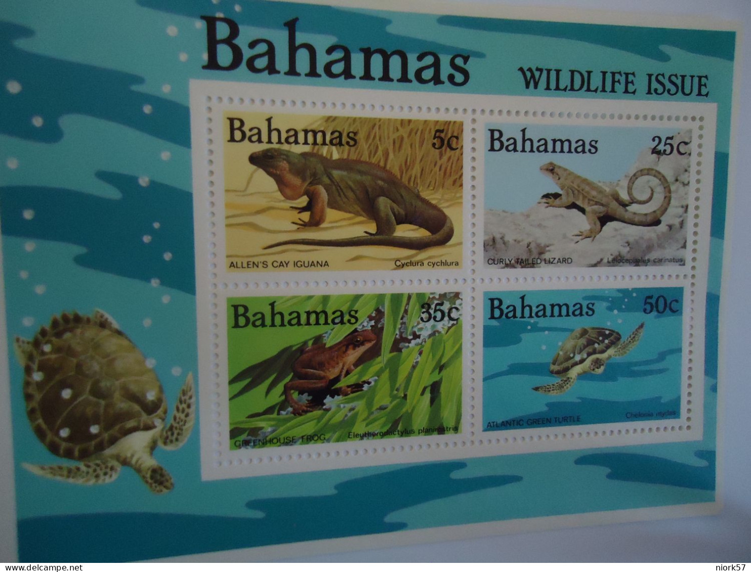 BAHAMAS MNH  SHEET  REPTILES   TURTLES FROG - Tortues