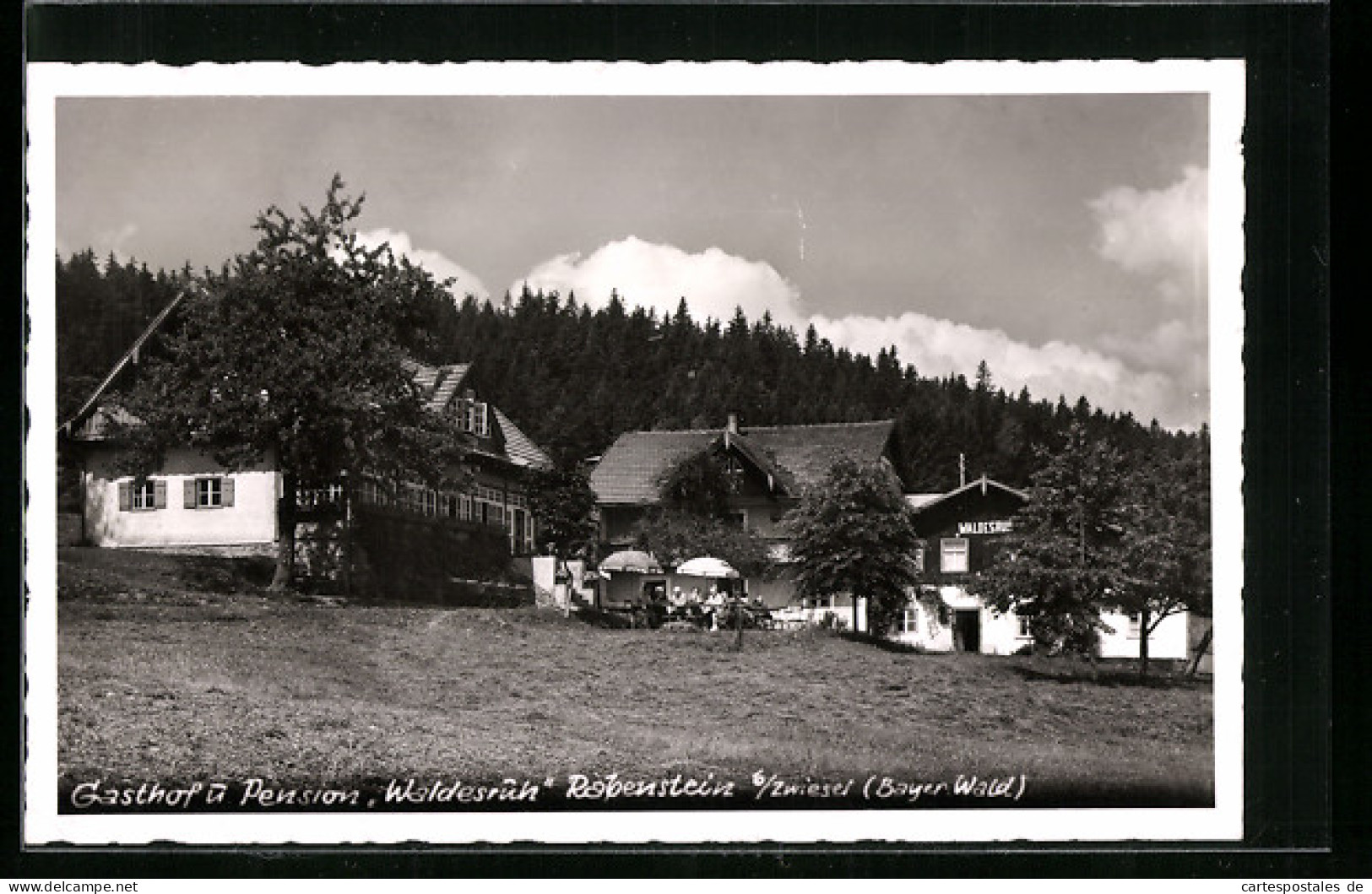 AK Rabenstein B. Zwiesel (Bayer. Wald), Gasthaus Und Pension Waldesruh  - Zwiesel