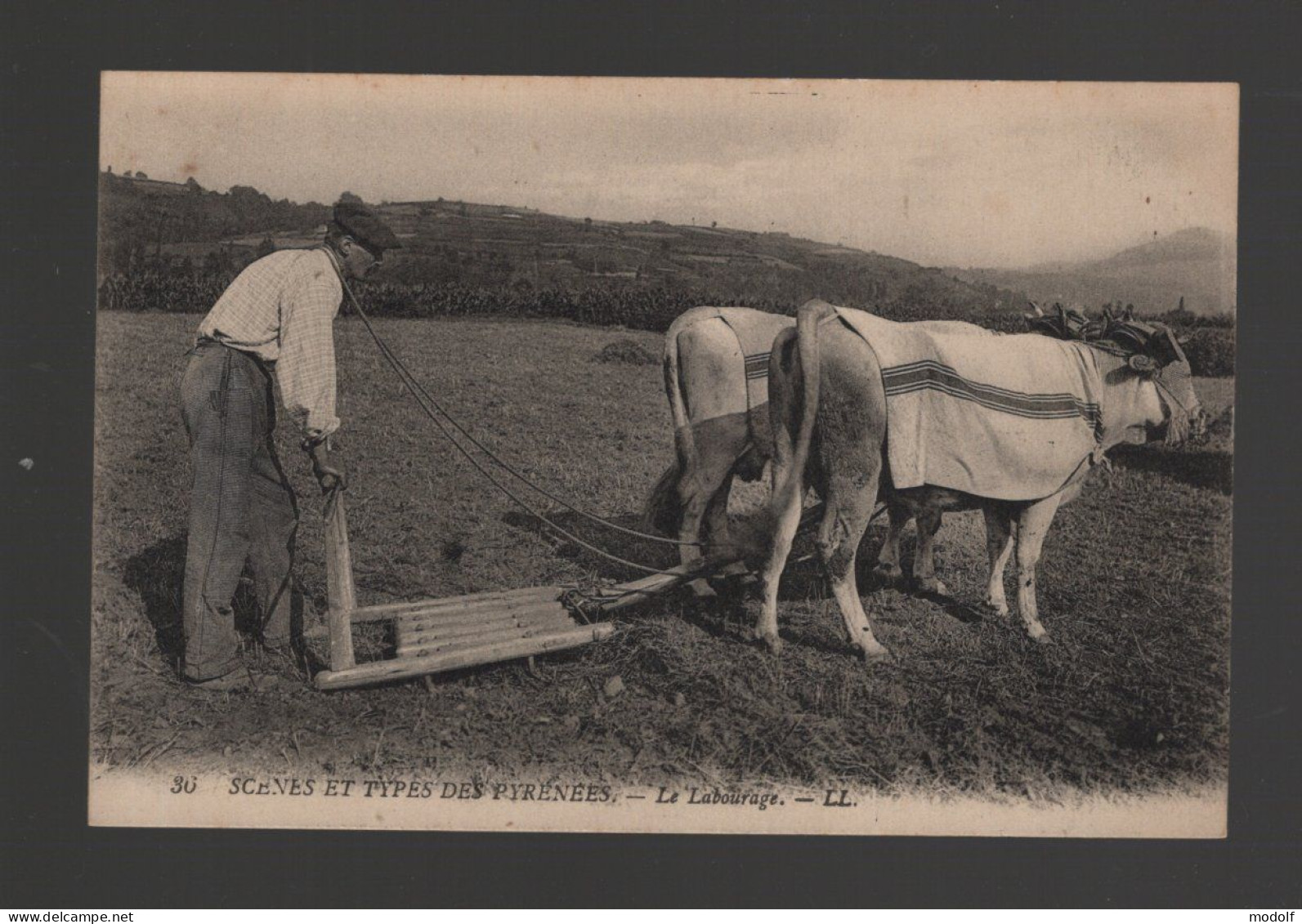 CPA - Agriculture - Scènes Et Types Des Pyrénées - Le Labourage - Non Circulée - Cultures