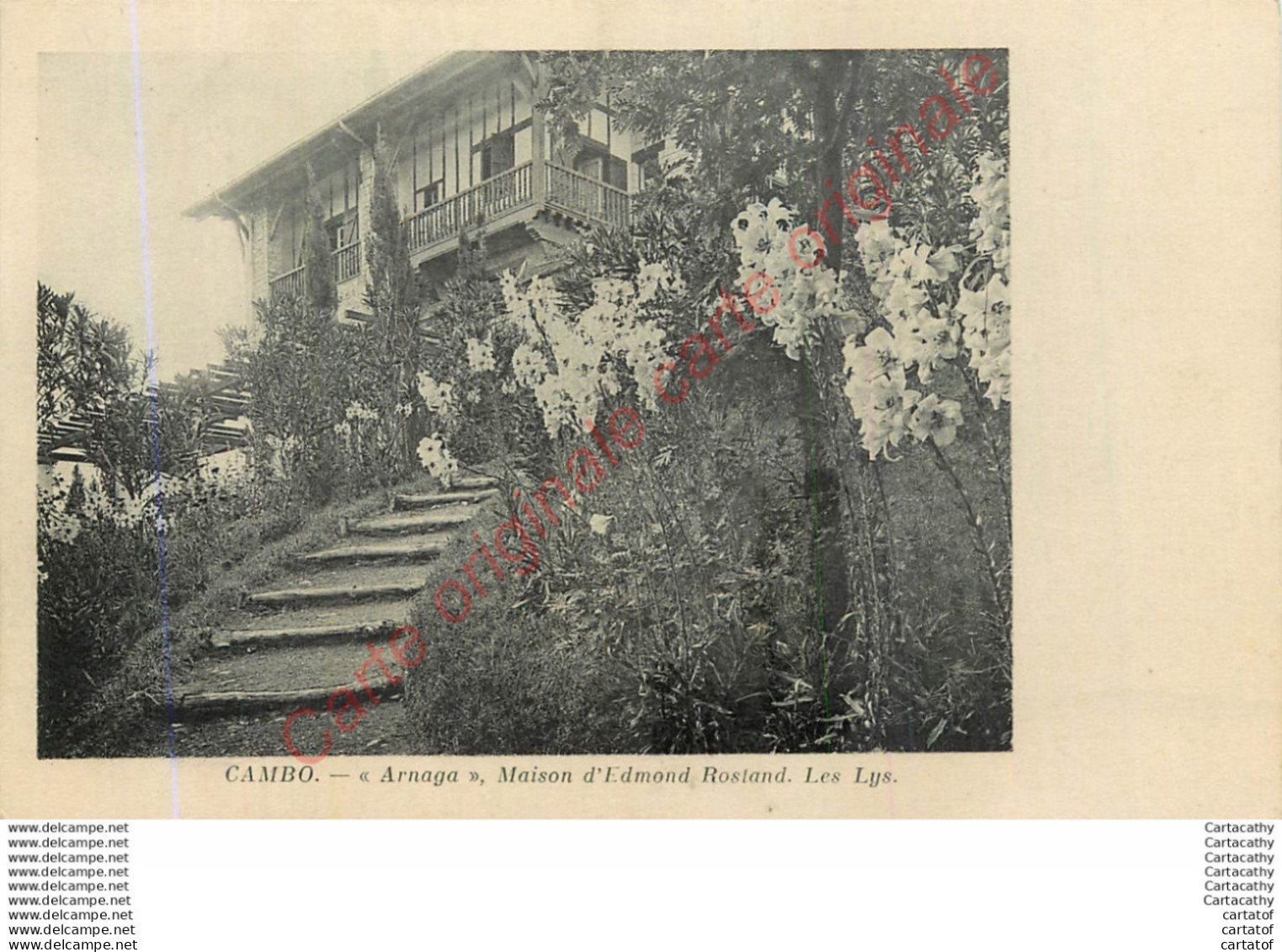 64.  CAMBO .  ARNAGA Maison D'Edmmond Rostand . Les Lys . - Cambo-les-Bains