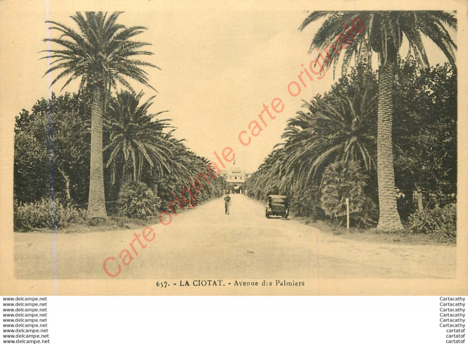 13.  LA CIOTAT . Avenue Des Palmiers . - La Ciotat