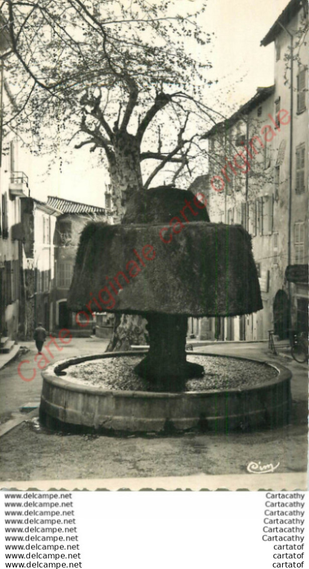 83.  BARJOLS .  Le Champignon. Place De La Mairie . - Barjols