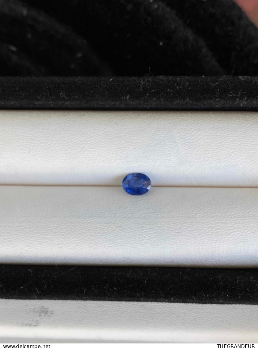 Natural Blue Sapphire Oval Cut 0.76 Carat From Sri Lanka - Zafiro