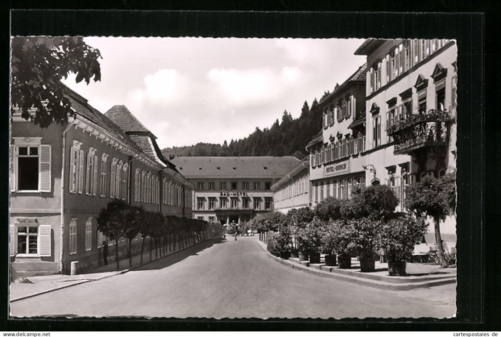 AK Bad Teinach Im Schwarzwald, Bad-Hotel Und Hotel Hirsch  - Bad Teinach
