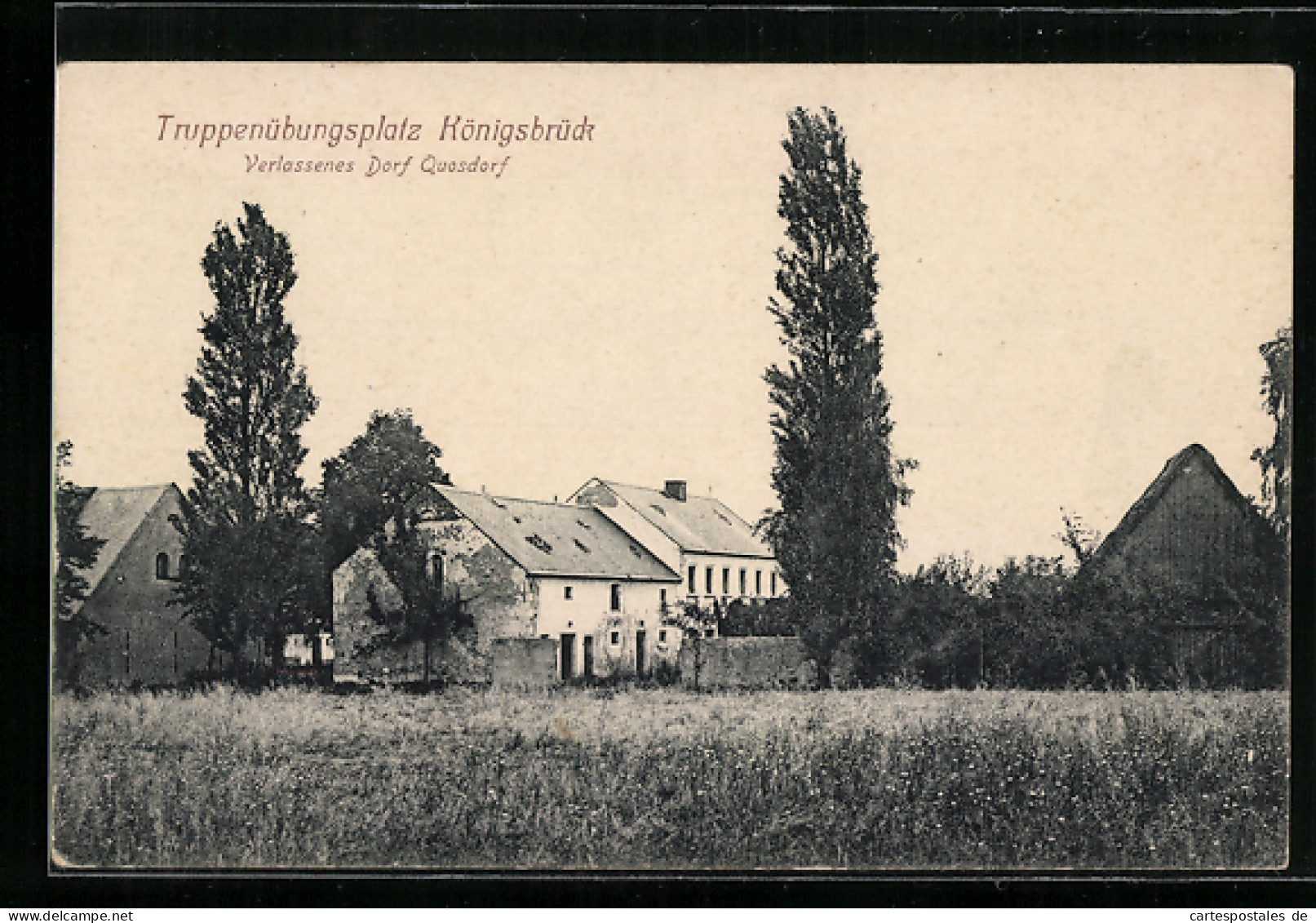 AK Königsbrück, Truppenübungsplatz, Am Verlassenen Dorf Quosdorf  - Koenigsbrueck
