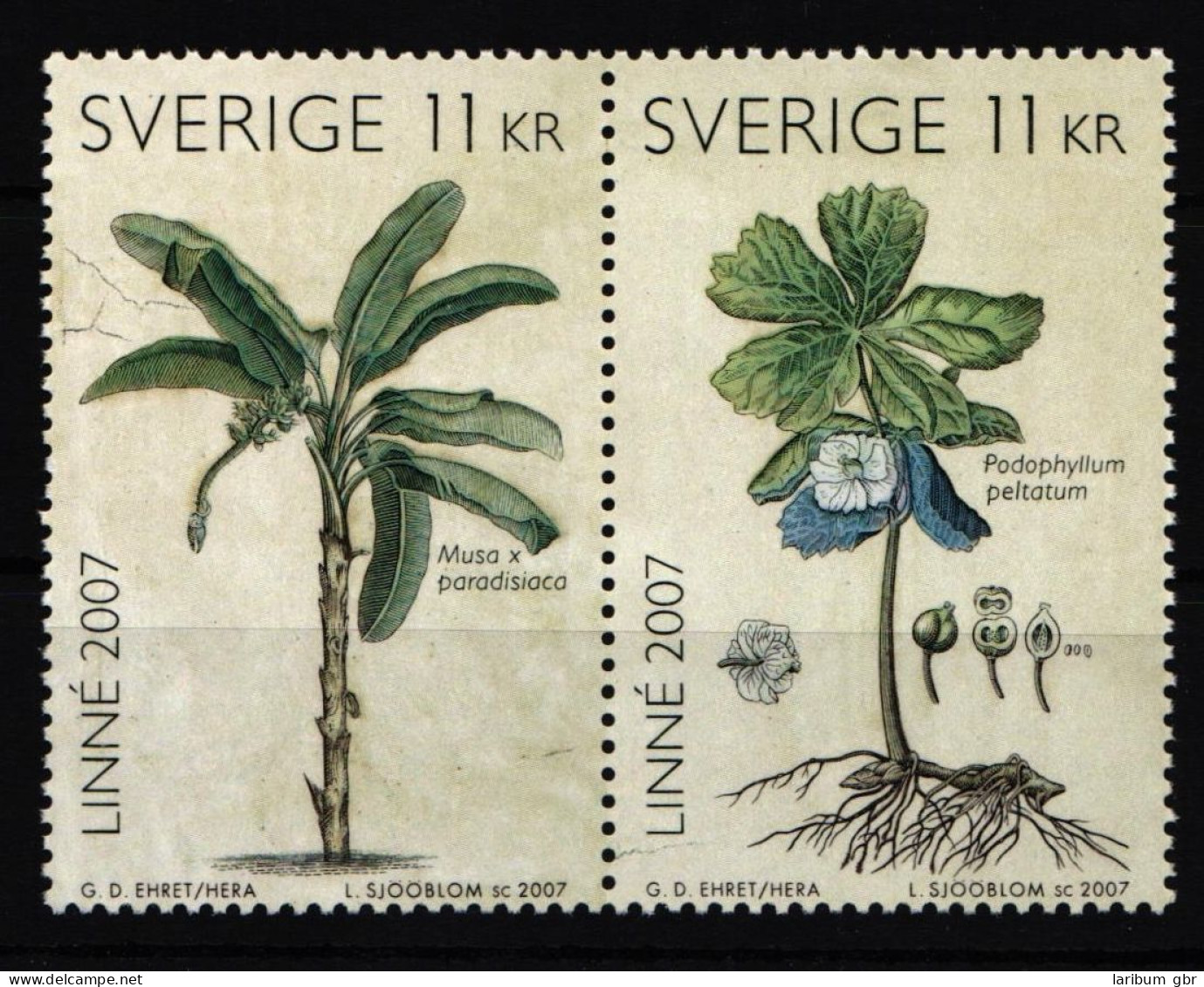 Schweden 2588-2589 Postfrisch 300. Geburtstag Carl Von Linné #IJ950 - Other & Unclassified