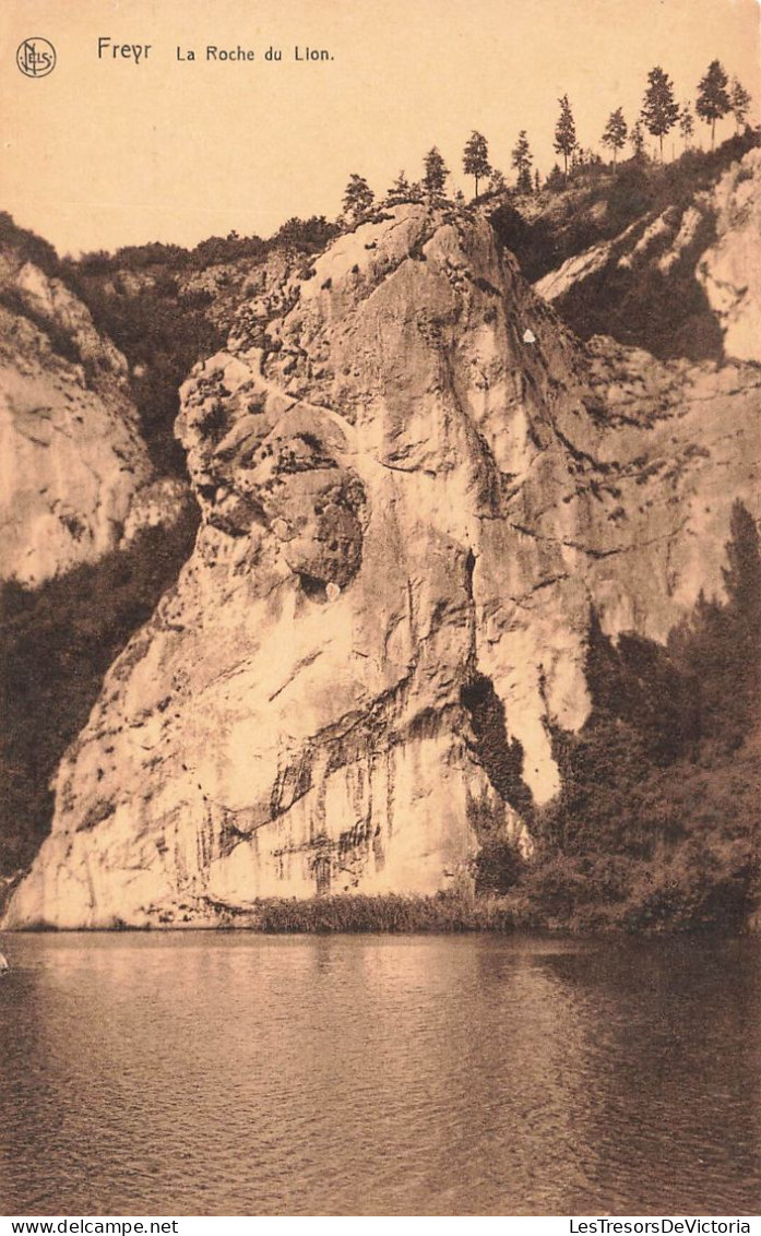 BELGIQUE - Freyr - La Roche Du Lion - Carte Postale Ancienne - Profondeville