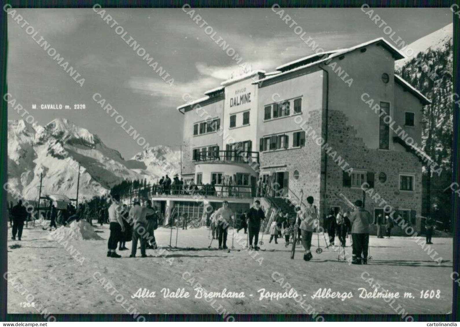 Bergamo Foppolo Sci Foto FG Cartolina ZKM9163 - Bergamo