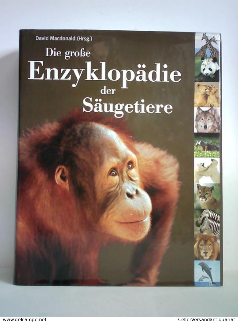 Die Große Enzyklopädie Der Säugetiere Von Macdonald, David (Hrsg.) / Norris, Sasha (Assistenz) - Non Classés