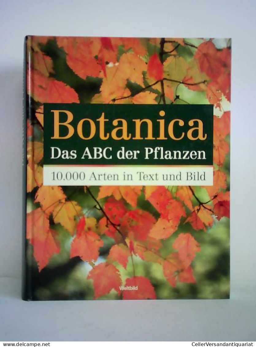 Botanica - Das ABC Der Pflanzen. 10.000 Arten In Text Und Bild Von Cheers, Gordon (Hrsg.) - Non Classés