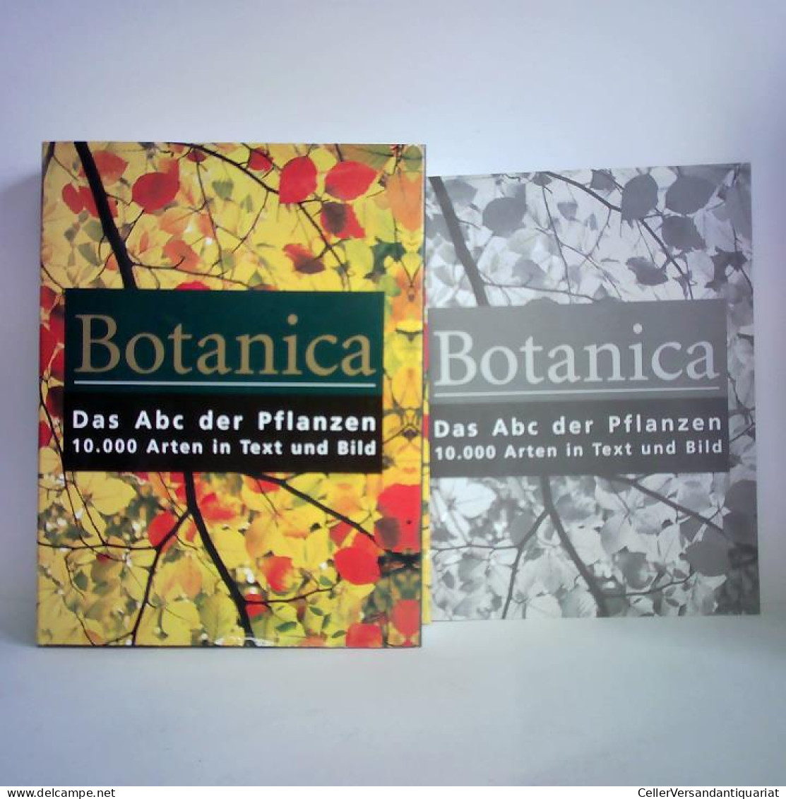 Botanica - Das ABC Der Pflanzen. 10.000 Arten In Text Und Bild Von Cheers, Gordon (Hrsg.) - Non Classés