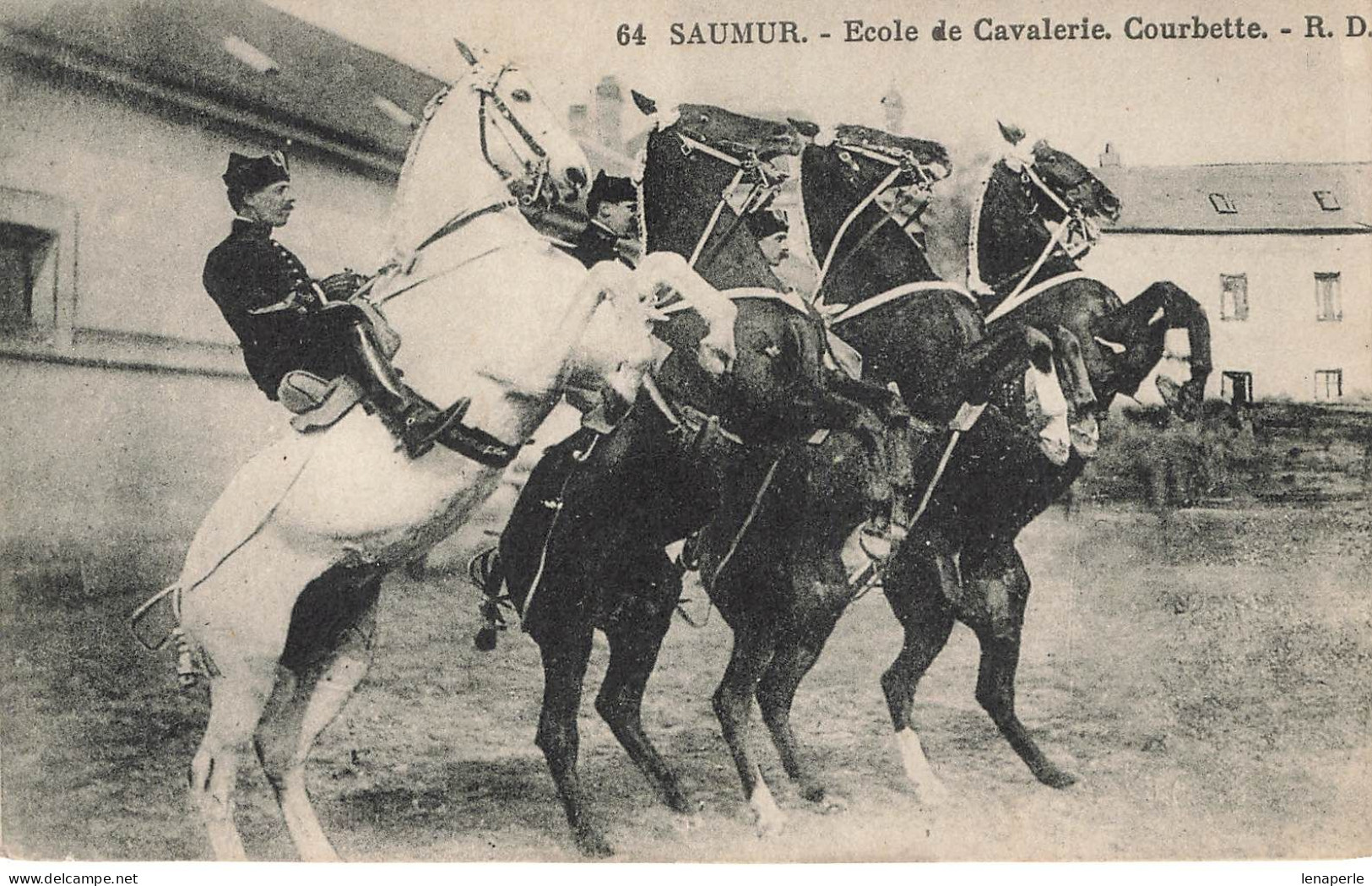 D6587 Saumur école De Cavalerie Courbette - Saumur