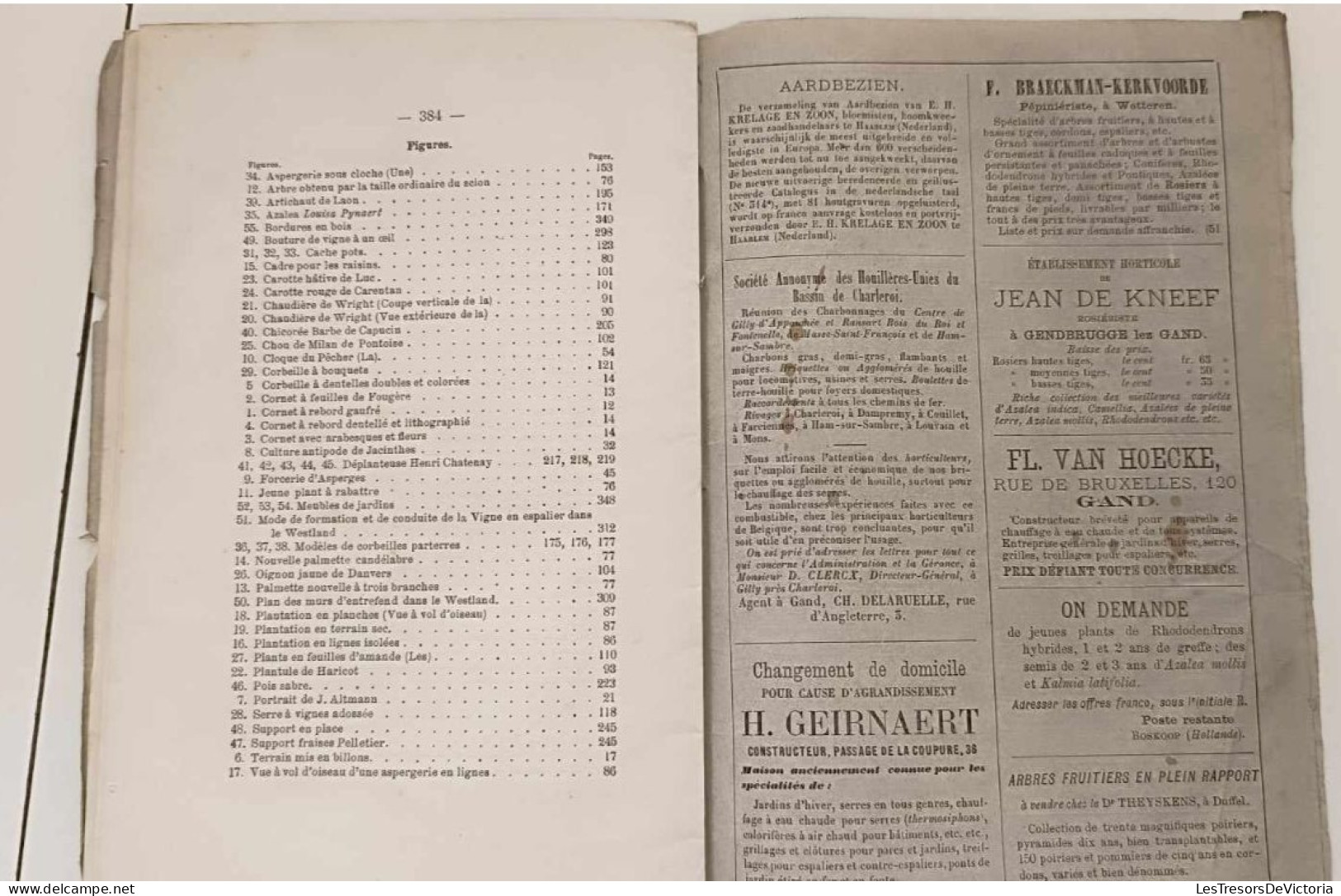 Bulletin D'arboriculture, De Floriculture Et De Culture Potagère - Décembre 1879 - 3ème Série Vol  III N°12 - Revues Anciennes - Avant 1900