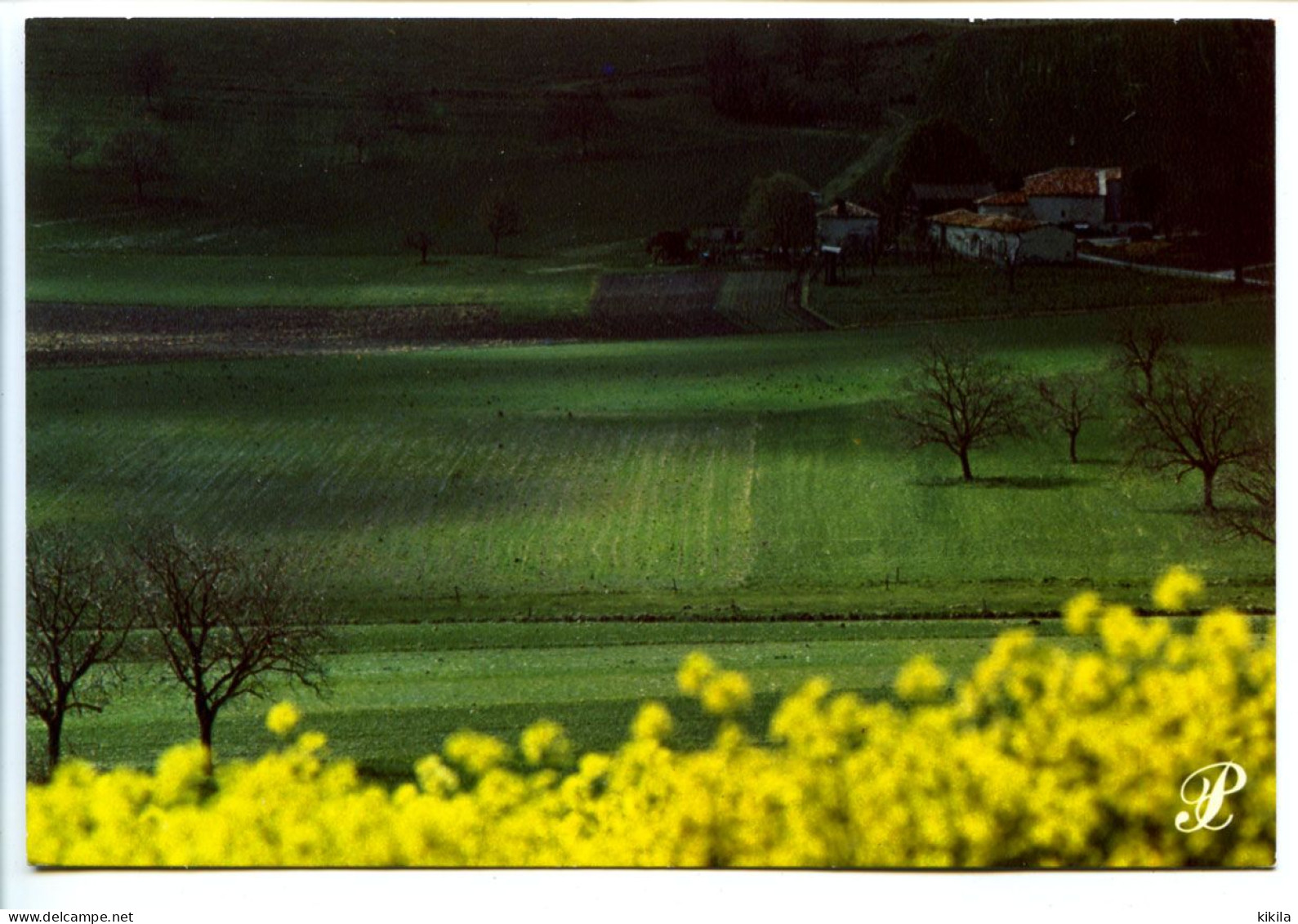 CPSM / CPM 10.5 X 15 Prestige CHARENTE Champ Ferme Campagne Photo Leicographie M. Guillard - Agence Scope - Poitou-Charentes