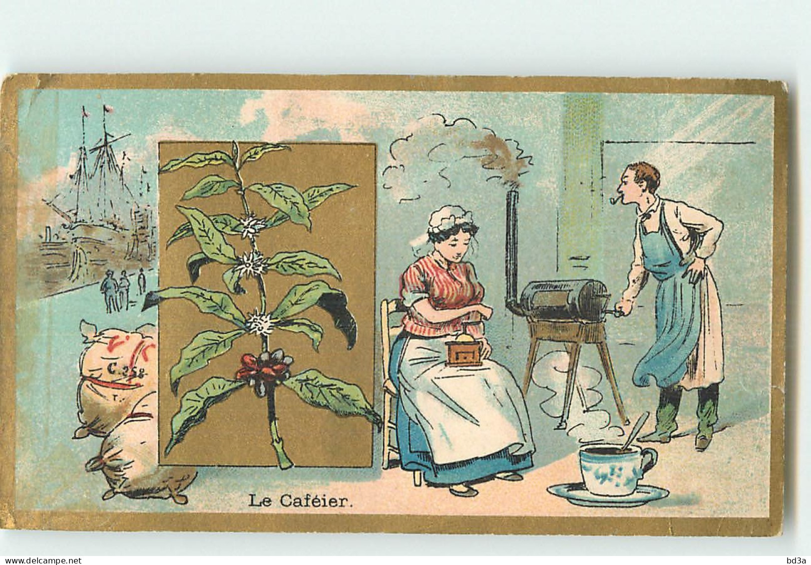 CHROMO /  CHOCOLAT DE L'UNION - LE CAFEIER - SERIE PLANTES - Sonstige & Ohne Zuordnung