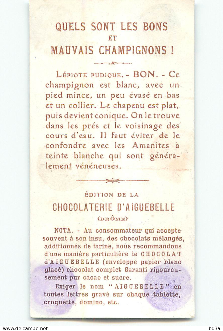 CHROMO /  CHOCOLAT D'AIGUEBELLE -  CHAMPIGNONS -  LEPIODE PUDIQUE - BON - Sonstige & Ohne Zuordnung