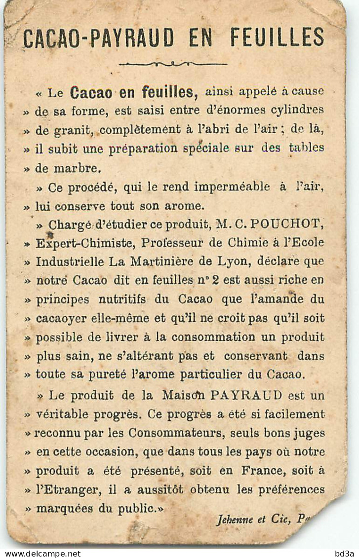 CHROMO  DORE / CHOCOLAT -  PAYRAUD -  UNE OIE COMPLAISANTE - Other & Unclassified