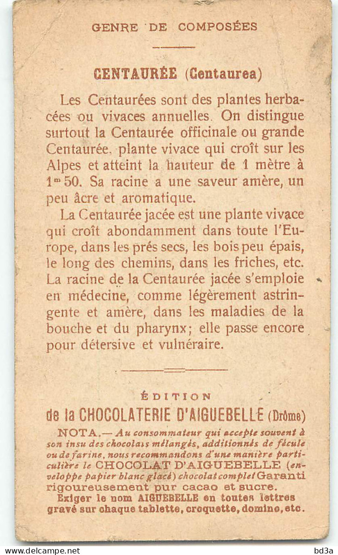 CHROMO - CHOCOLAT D'AIGUEBELLE -  LES PLANTES MEDICINALES -  CENTAUREE - Aiguebelle