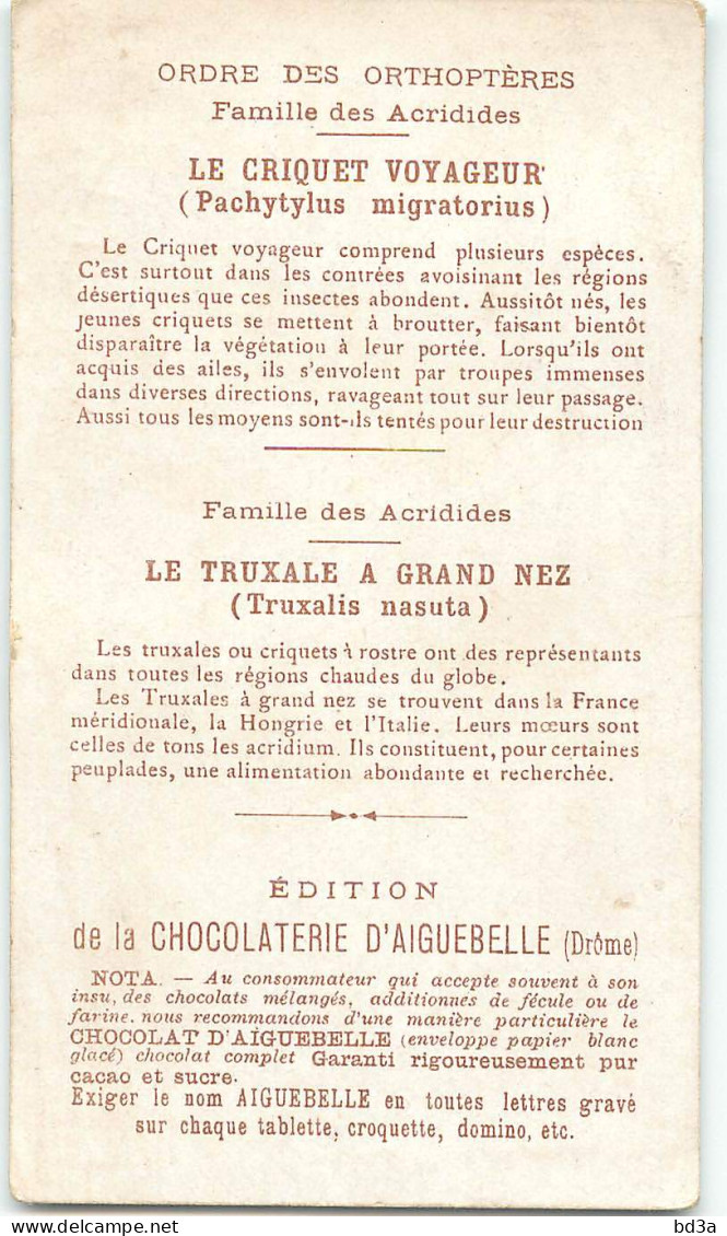 CHROMO - CHOCOLAT D'AIGUEBELLE -  LE MONDE DES INSECTES - ORDRE DES ORTHOPTERES - Aiguebelle