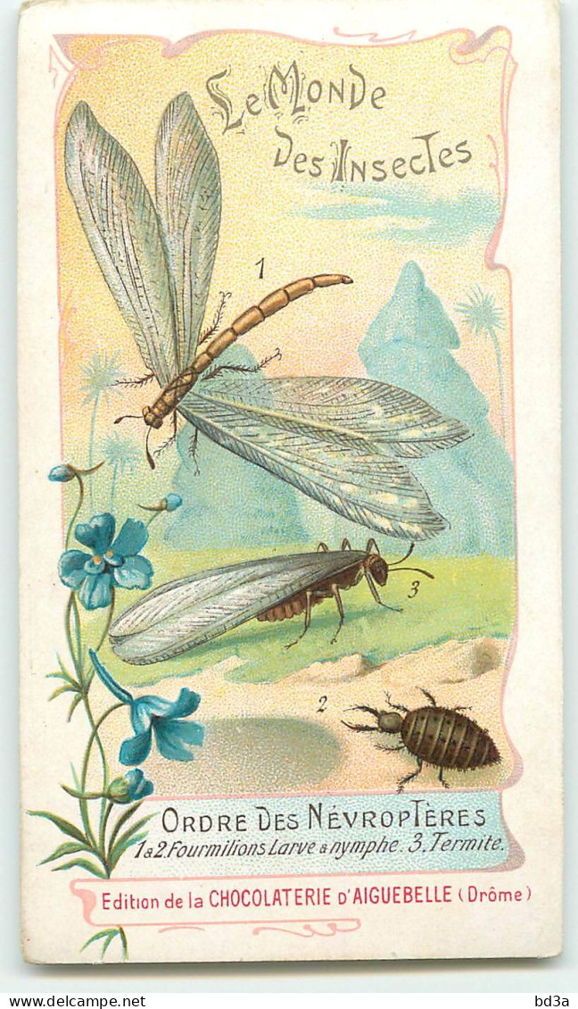 CHROMO - CHOCOLAT D'AIGUEBELLE -  LE MONDE DES INSECTES - ORDRE DES NEVROPIERES - Aiguebelle