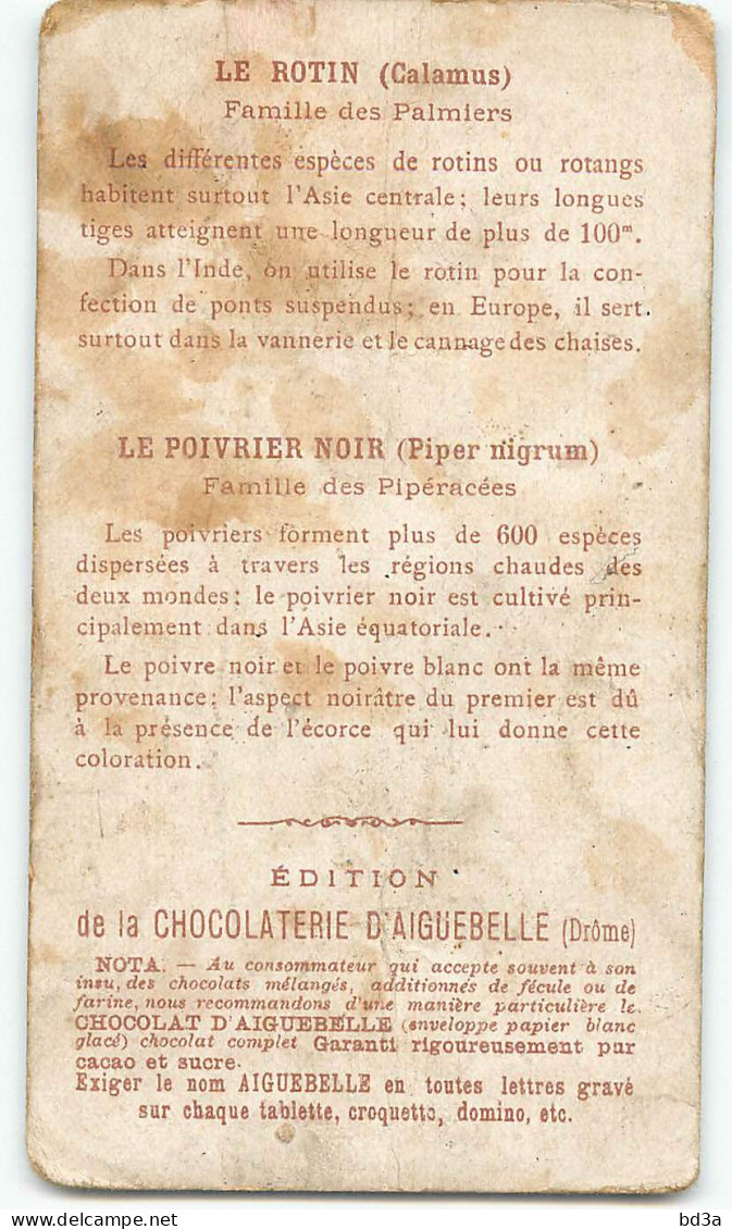 CHROMO - CHOCOLAT D'AIGUEBELLE -  LE MONDE DES PLANTES - ROTIN - POIVRIER NOIR - Aiguebelle