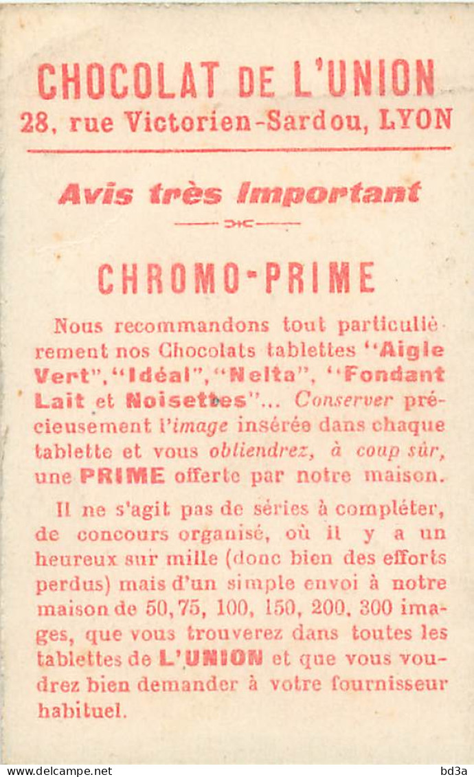 CHROMO - CHOCOLAT DE L'UNION - SERIE 1 INSECTES - Sonstige & Ohne Zuordnung