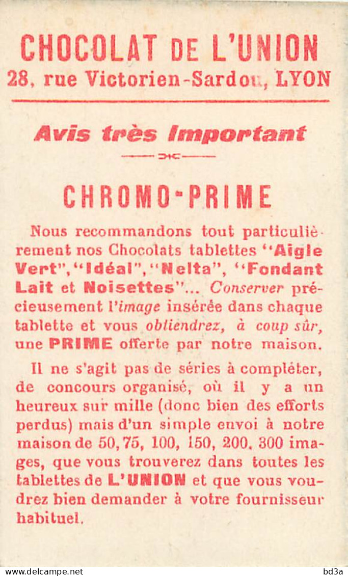 CHROMO - CHOCOLAT DE L'UNION - SERIE 1 INSECTES - Sonstige & Ohne Zuordnung