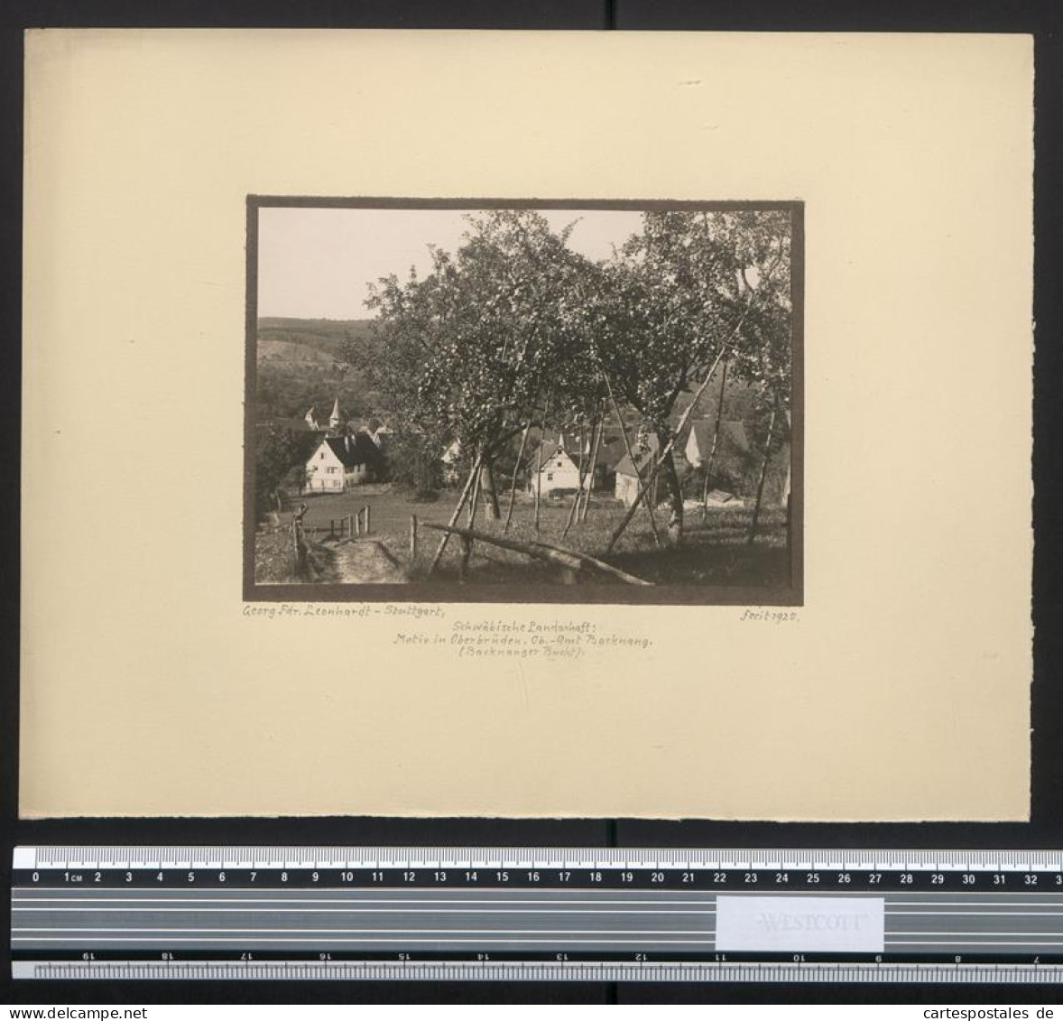 Fotografie Georg Friedrich Leonhardt, Stuttgart, Ansicht Oberbrüden / Weissachgrund, Obstbäume Am Ortsrand 1925  - Places