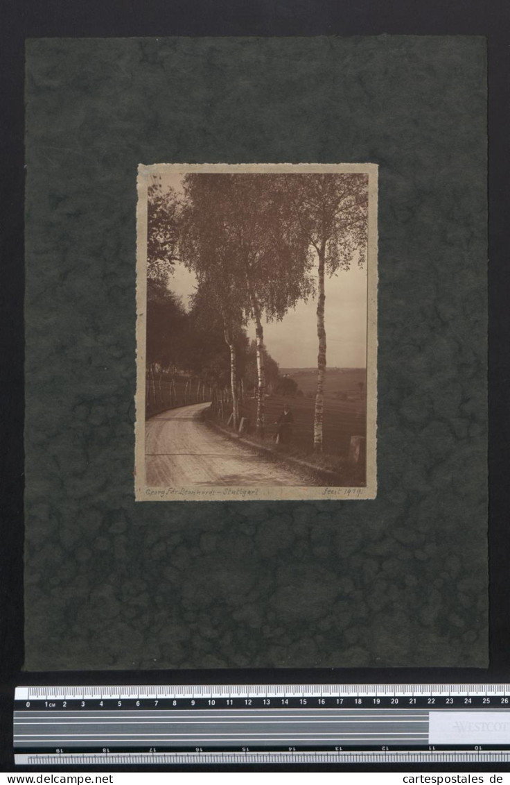 Fotografie Georg Friedrich Leonhardt, Stuttgart, Landstrasse Von Birken Gesäumt 1919  - Other & Unclassified