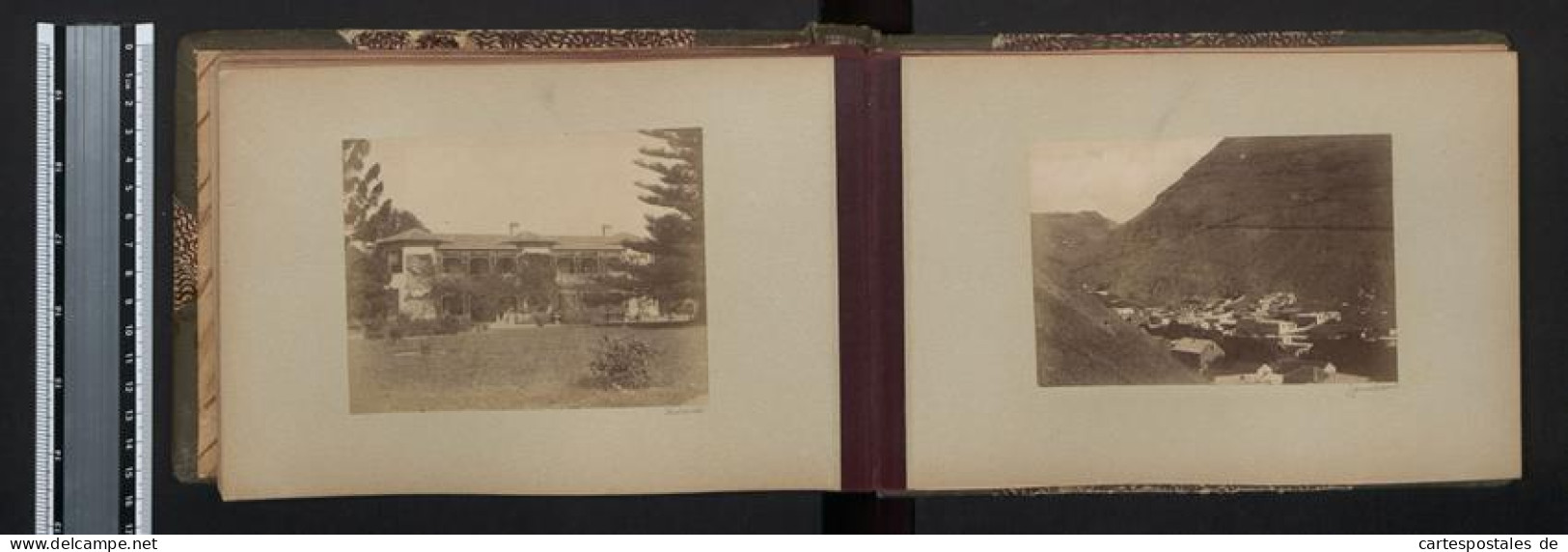 Fotoalbum mit 42 Fotografien. K.u.K. Kriegsmarine, Rundreise / Expedition Lagos, Kamerun, Dakar, Freetown, New York 