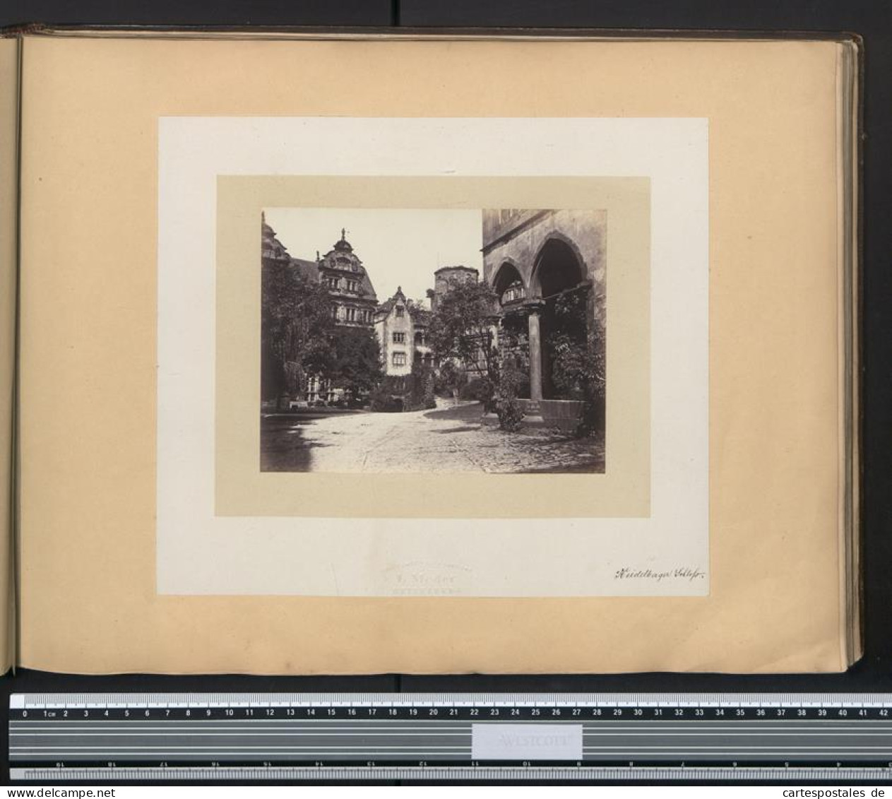 Fotoalbum mit 57 Fotografien, Alexandra v. Sachsen-Altenburg, Frankfurt / Main mit Synagoge, Danzig, Bad Reichenhall 