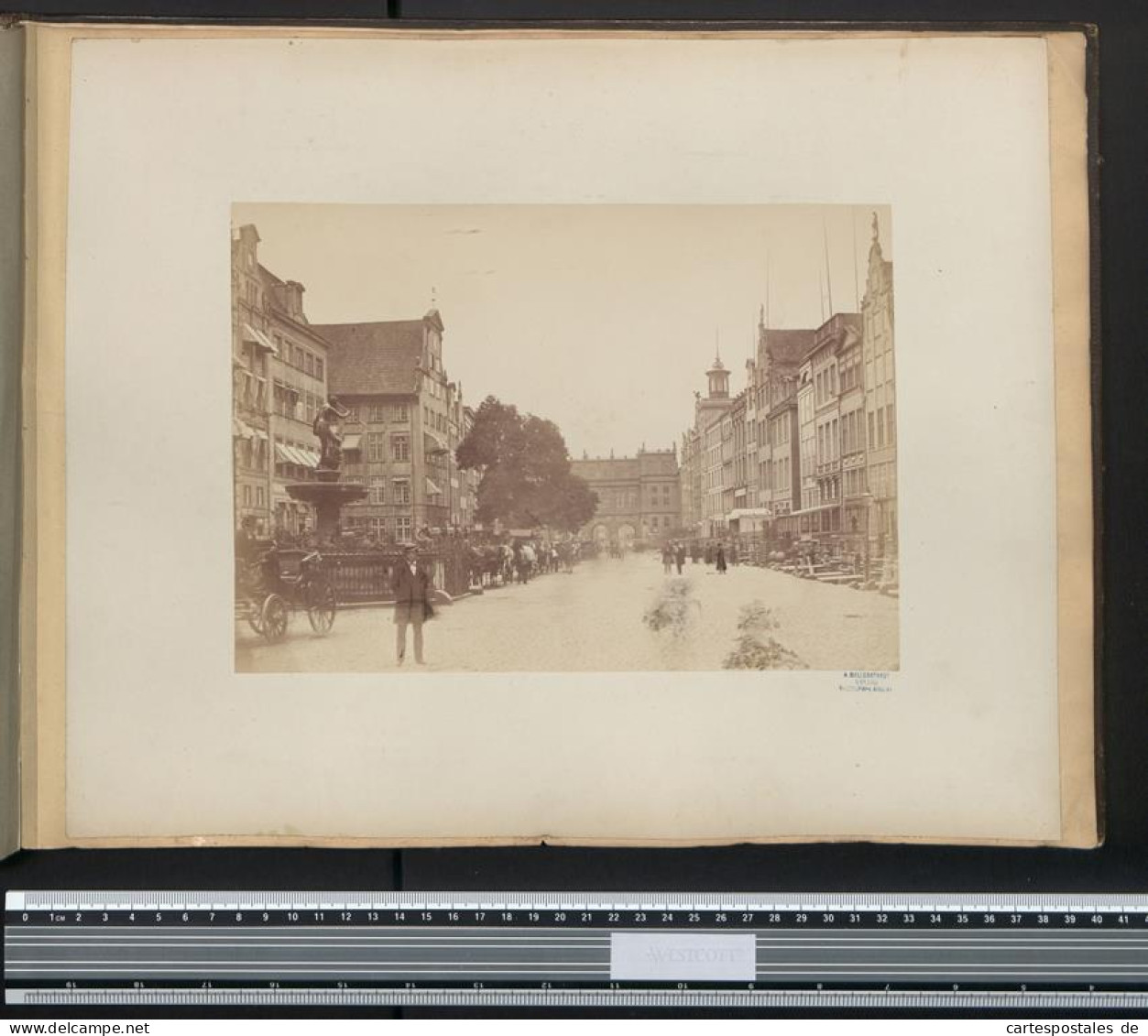 Fotoalbum mit 57 Fotografien, Alexandra v. Sachsen-Altenburg, Frankfurt / Main mit Synagoge, Danzig, Bad Reichenhall 