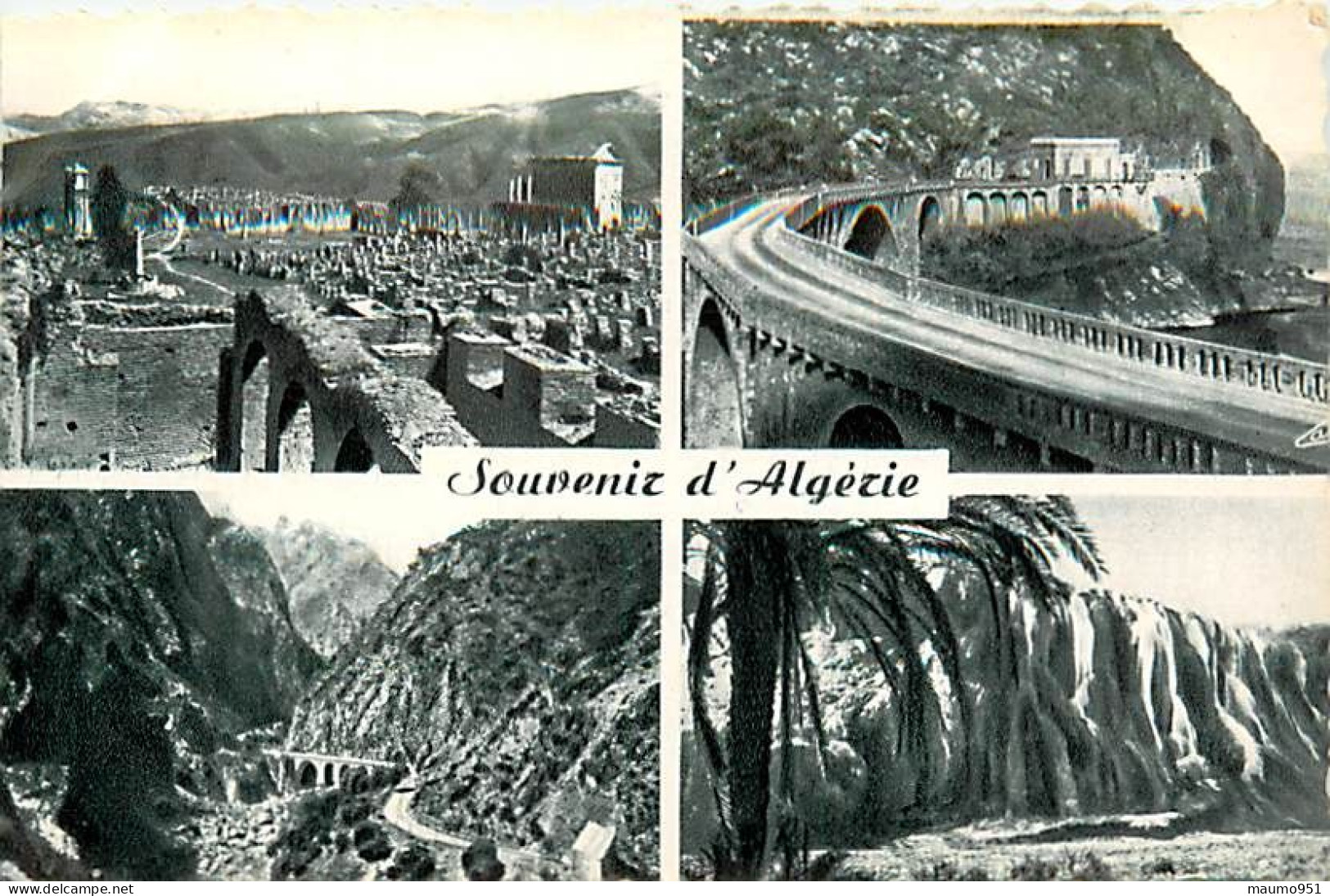 ALGERIE -  Souvenir D'Alger. Lot De 7 Cartes - Oran