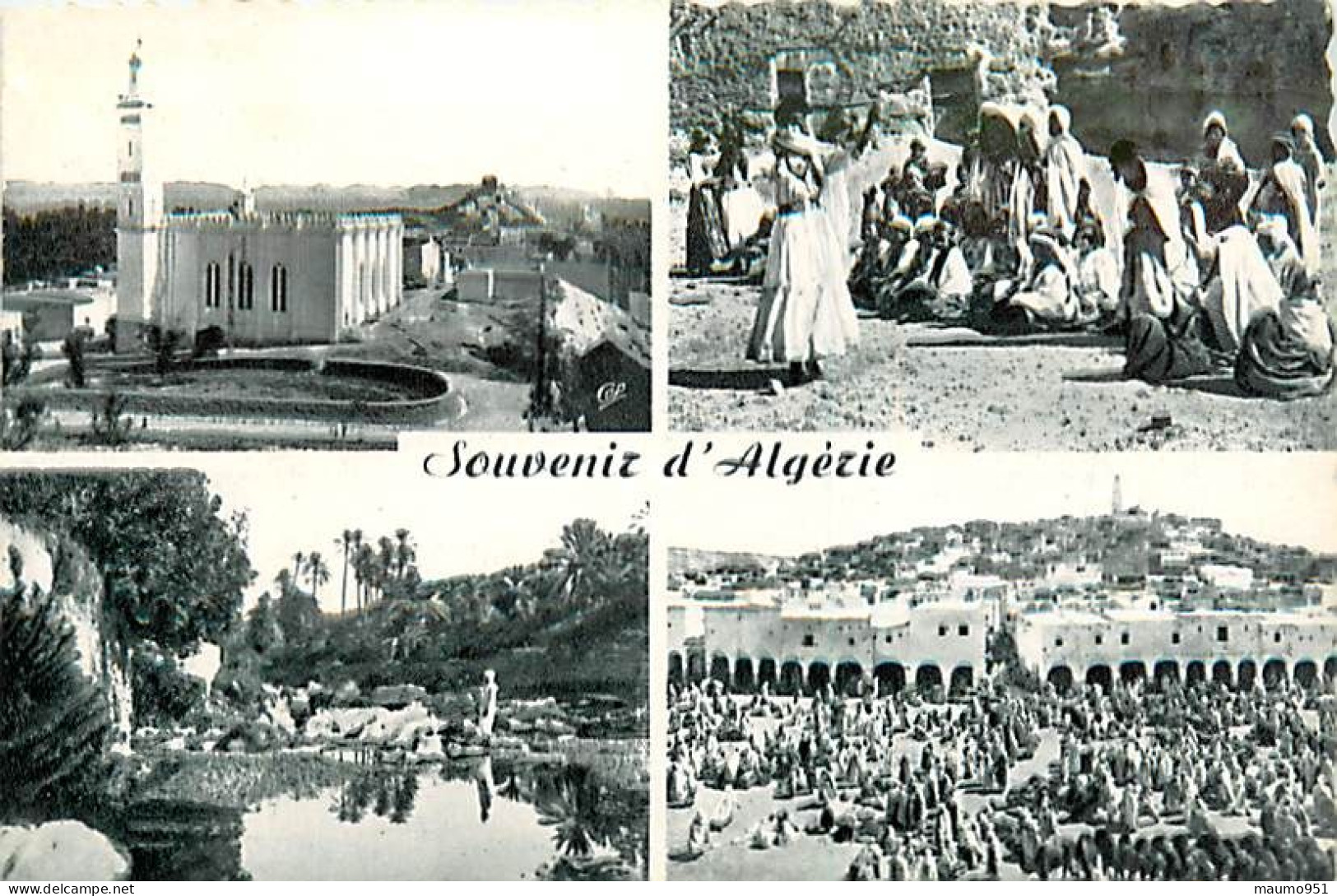 ALGERIE -  Souvenir D'Alger. Lot De 7 Cartes - Oran