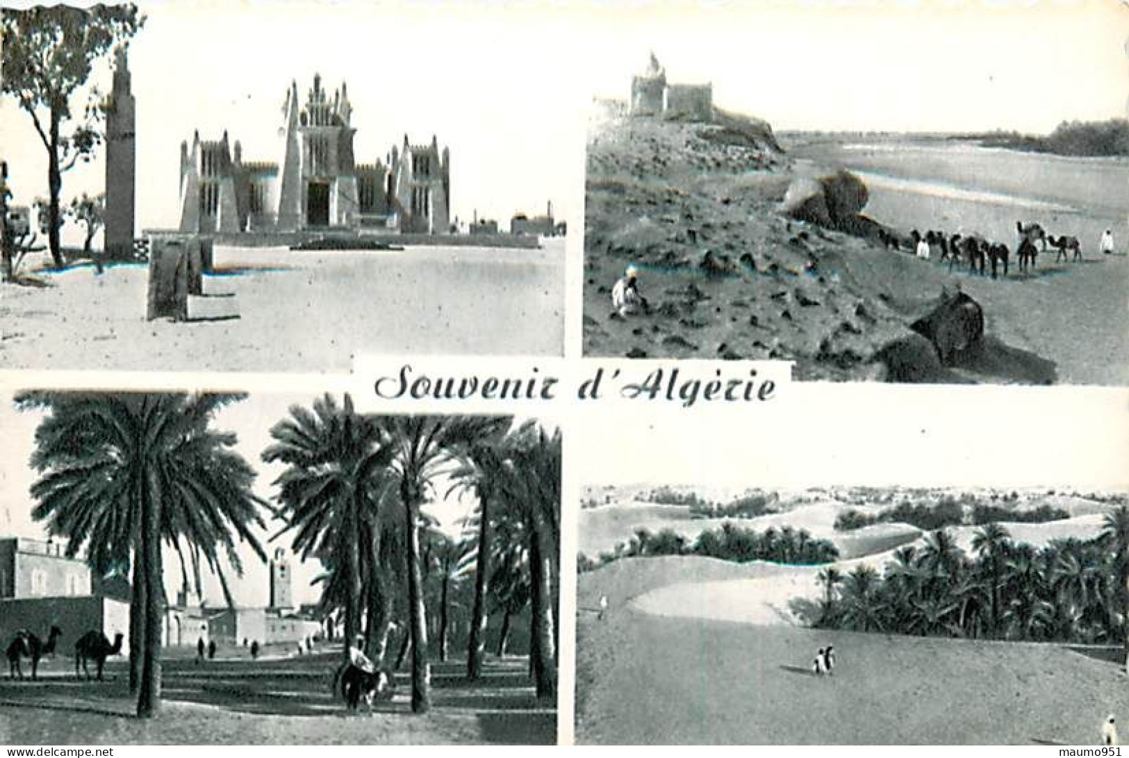 ALGERIE -  Souvenir d'Alger. Lot de 7 Cartes
