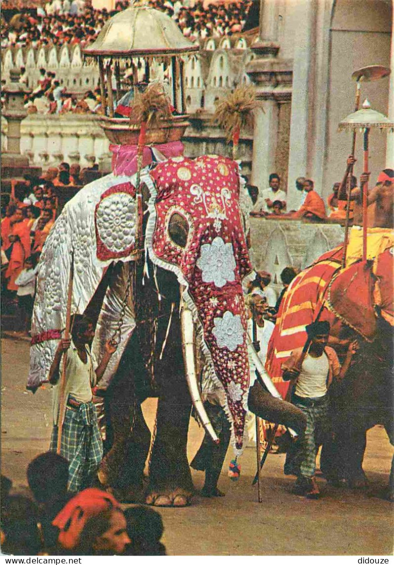Animaux - Eléphants - Sri Lanka - Kandy Esala Perehera - CPM - Voir Scans Recto-Verso - Elephants