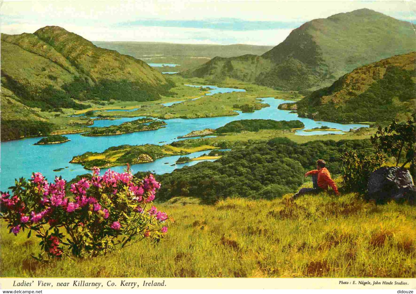 Irlande - Kerry - Killarney - Ladies' View Near Killarney - CPM - Voir Scans Recto-Verso - Kerry