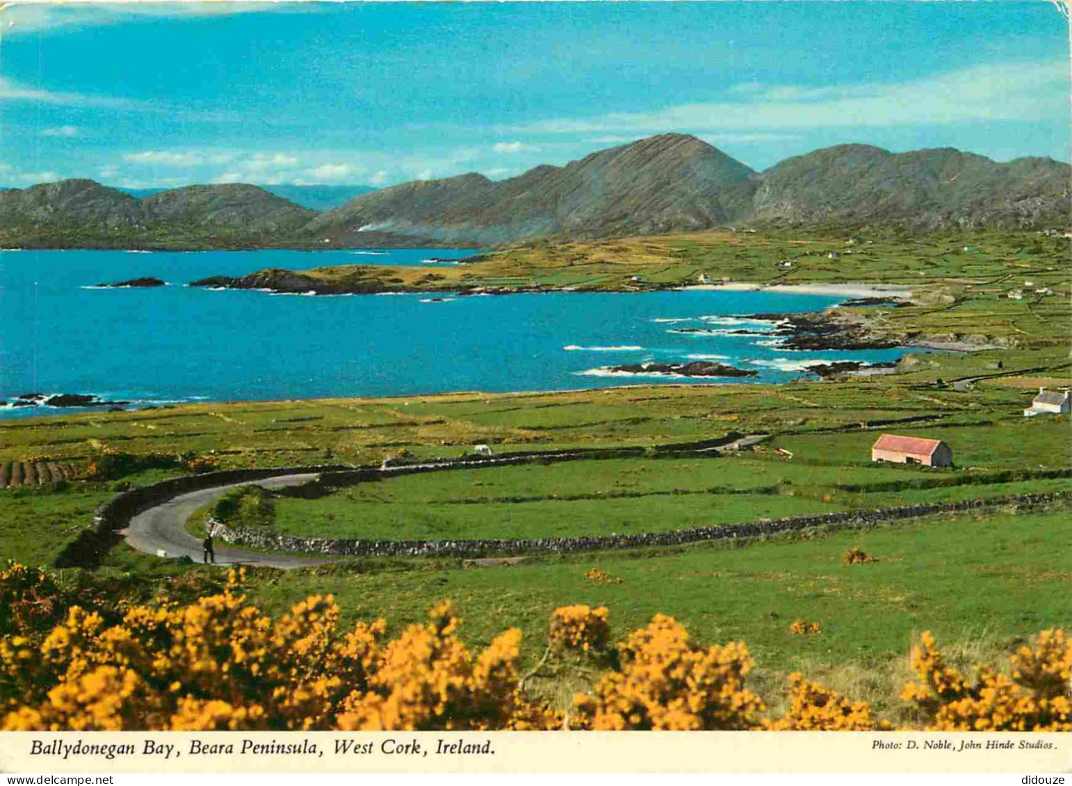 Irlande - Cork - Beara Peninsula - Ballydonegan Bay - CPM - Voir Scans Recto-Verso - Cork