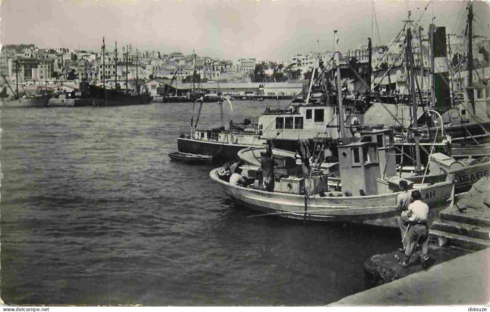 Maroc - Tanger - Le Port Et La Ville - Animée - Bateaux - Carte Dentelée - CPSM Format CPA - Voir Scans Recto-Verso - Tanger