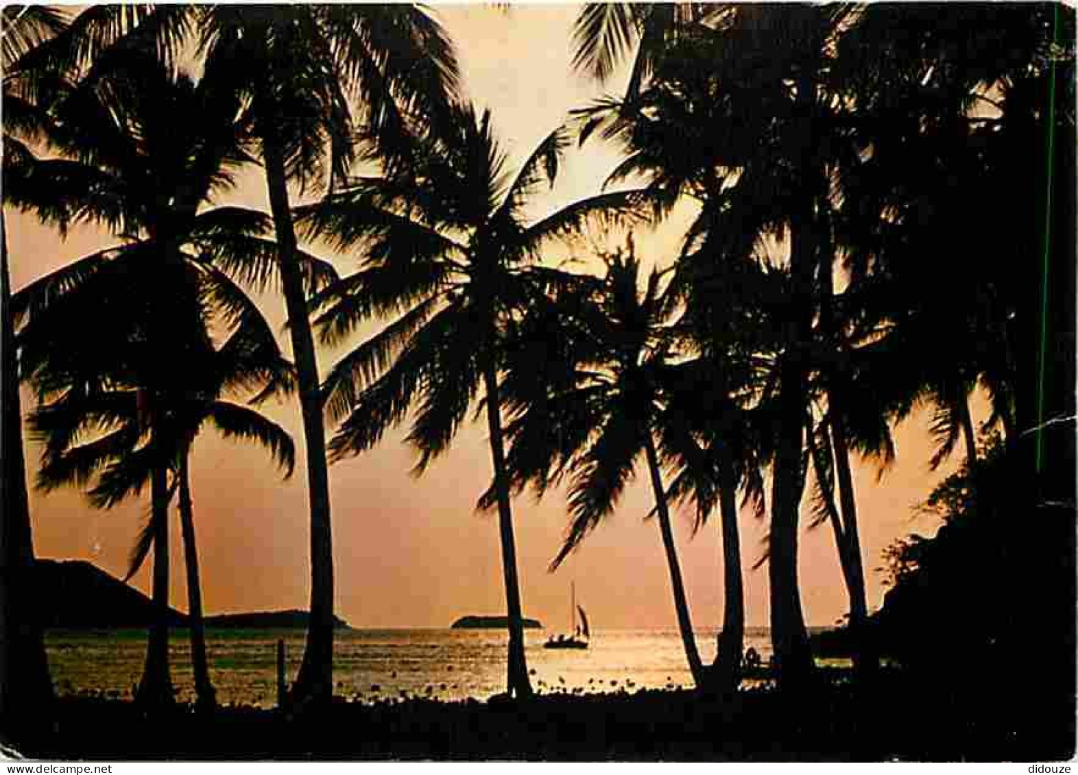 Antilles - Coucher De Soleil Aux Caraibes - Voir Timbre - CPM - Voir Scans Recto-Verso - Autres & Non Classés